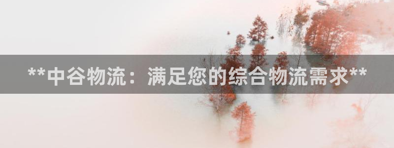 28圈网赌有什么风险
