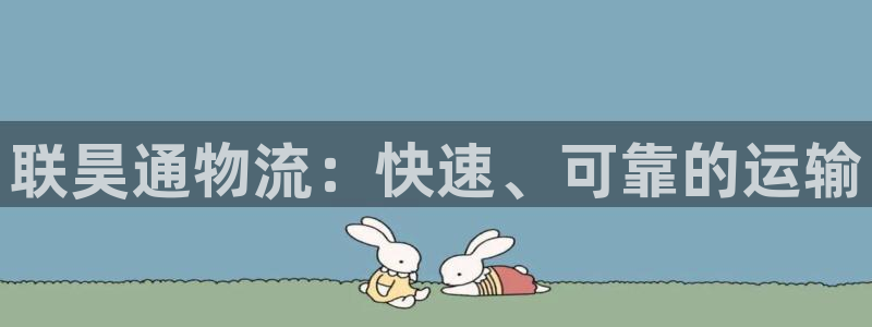 28圈预测网