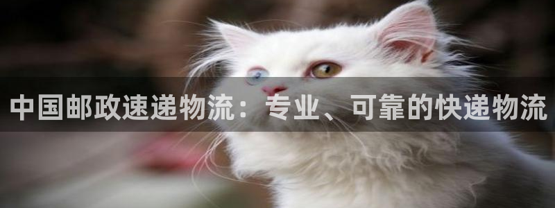 28圈软件堵什么反什么