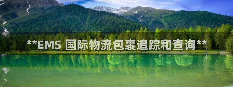 28圈龙虎