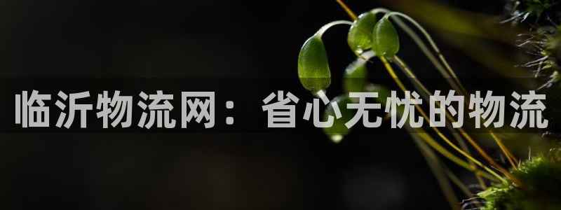 28圈官方官网版