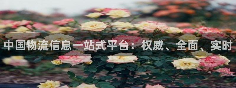 28圈新用户怎么注册：中国物流信息一