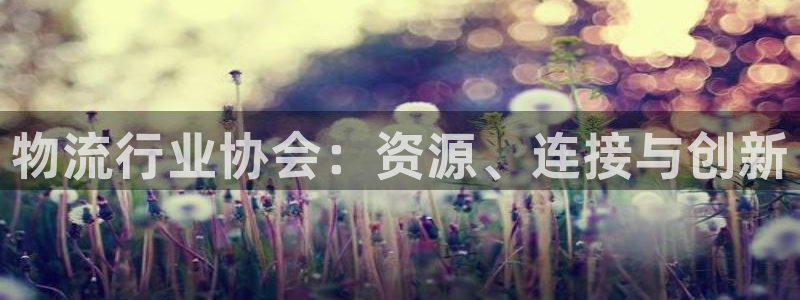 28圈选28ng官网