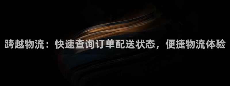 28圈图片：跨越物流：快速查询订单配