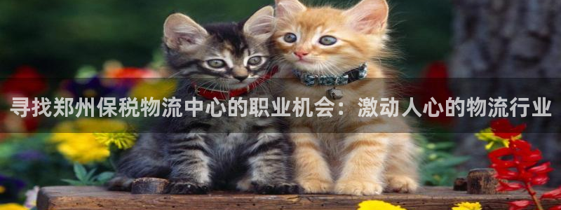28圈麻将胡了在线试玩