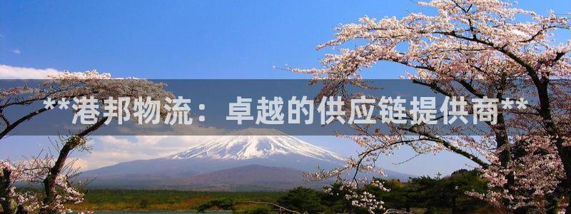 28圈游戏官网平台