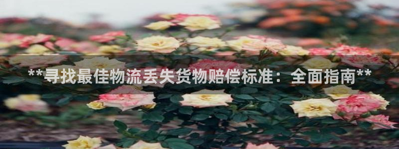 28圈模拟器