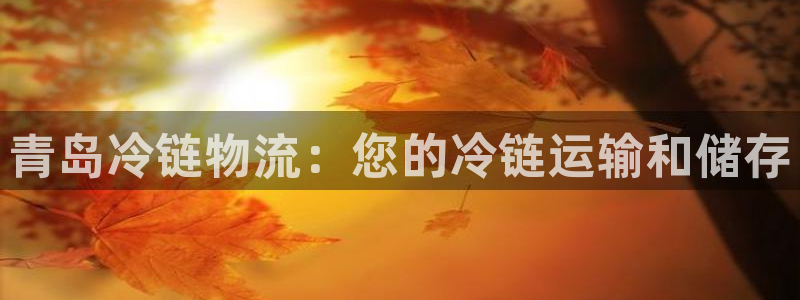 28圈分分28输了能不能退