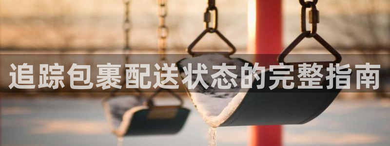 28圈怎么注册：追踪包裹配送状态的完