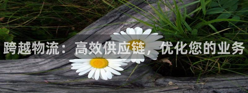28圈软件有什么用