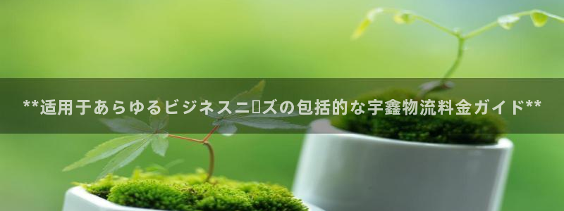 28圈黑吗