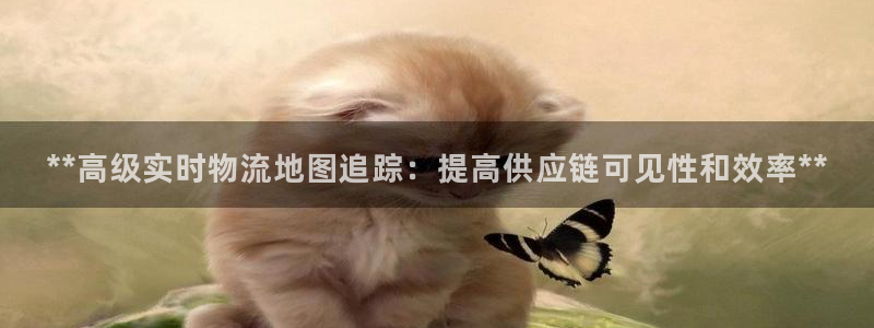28圈注册官网：**高级实时物流地图