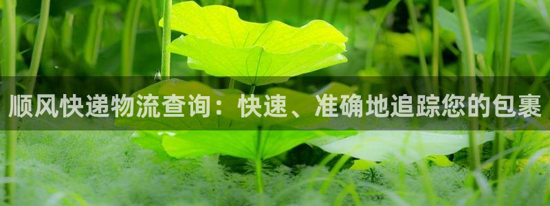 28圈相信品牌的力量