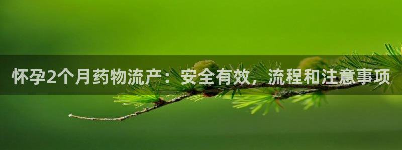 28圈官方版网站