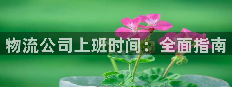28圈推广链接是多少钱一个：物流公司