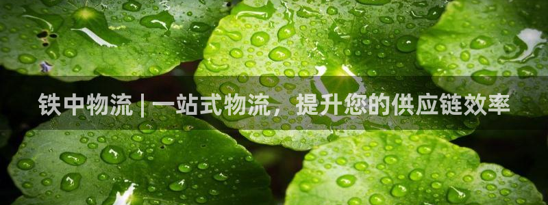 28圈旗下：铁中物流 | 一站式物流