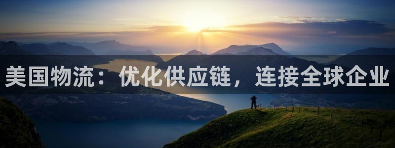 28圈系统自动保护：美国物流：优化供