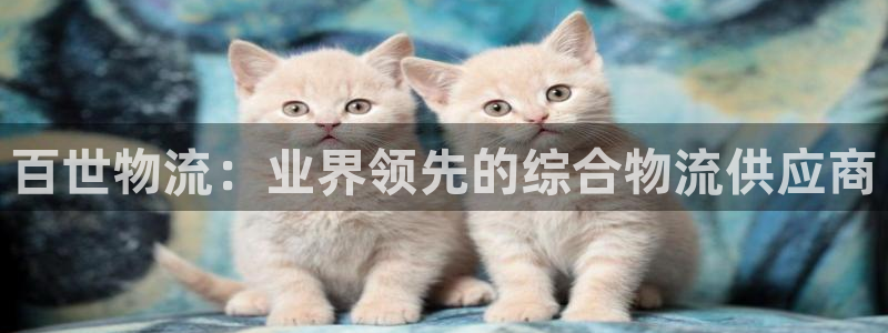 28圈充值不到账