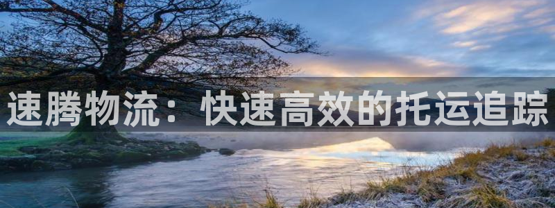 28圈黑吗：速腾物流：快速高效的托运