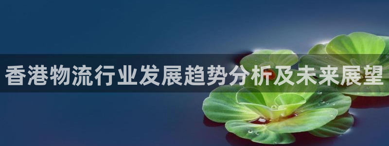 28圈网赌案件