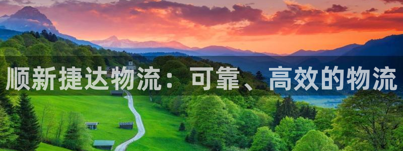 28圈防失联网址：顺新捷达物流：可靠