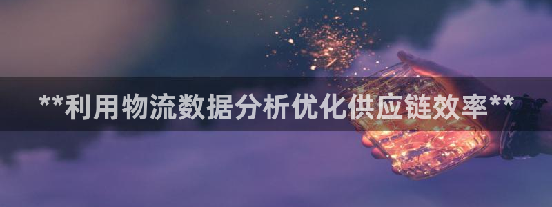 28圈下载不了：**利用物流数据分析