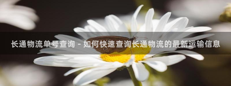 28圈游戏