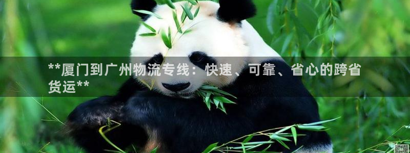 28圈注册限制怎么解除：**厦门到广