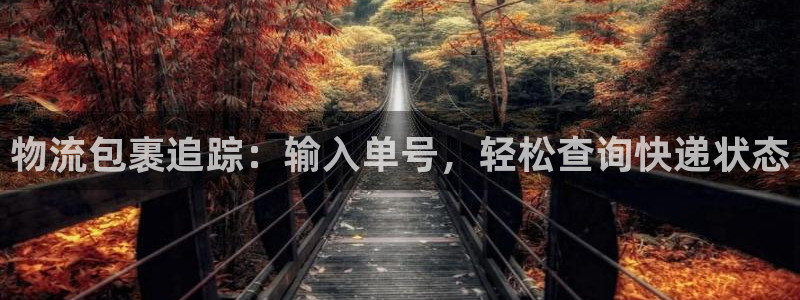 28圈旗下