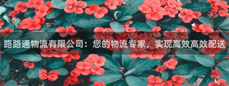 28圈pc预测：路路通物流有限公司：