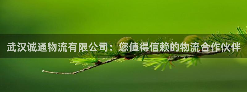 pc28圈怎么注册：武汉诚通物流有限