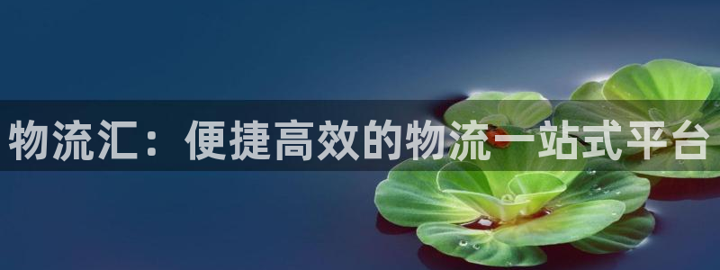 28圈赌博软件正规吗：物流汇：便捷高