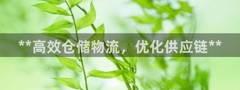 28圈注册网站多少：**高效仓储物流