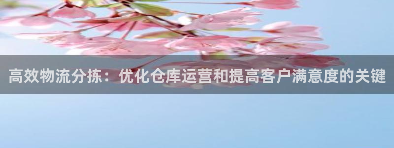 28圈娱乐官网网页下载：高效物流分拣