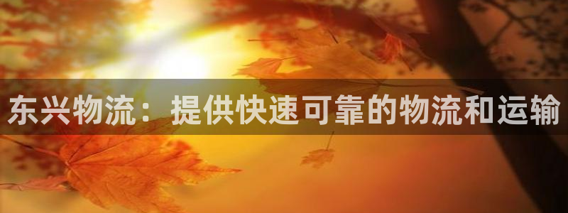 28圈为什么打不开：东兴物流：提供快