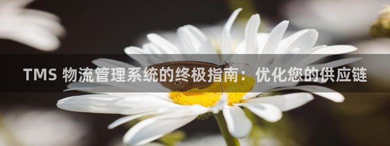 28圈官方：TMS 物流管理系统的终