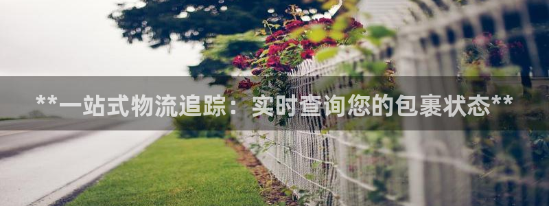28圈入口问一问：**一站式物流追踪