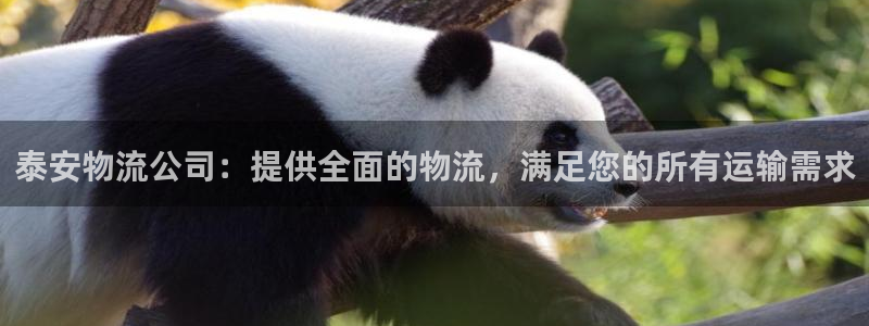 28圈模拟器在线玩：泰安物流公司：提