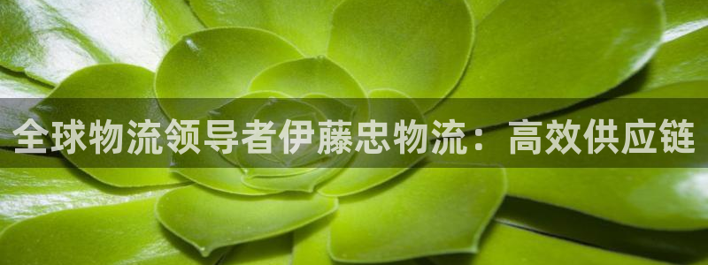 28圈反水：全球物流领导者伊藤忠物流