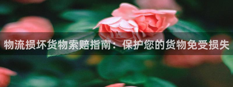 28圈分分28输了能不能退