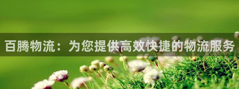 28圈违法吗：百腾物流：为您提供高效