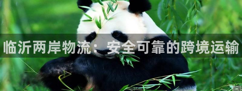 28圈平台注册：临沂两岸物流：安全可