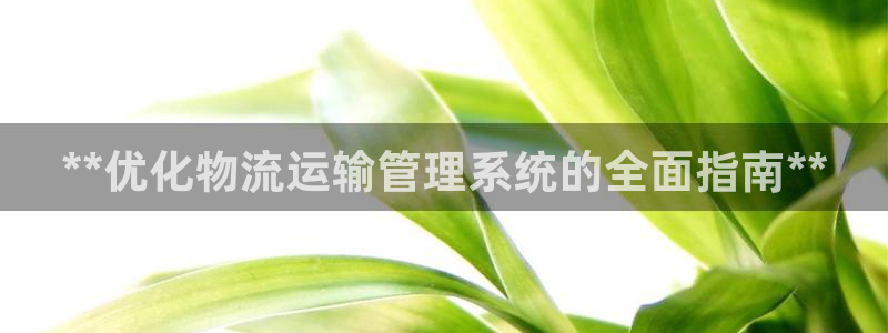 28圈登录网：**优化物流运输管理系
