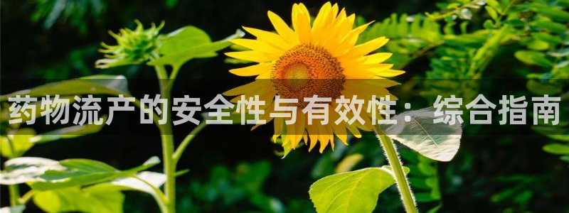 28圈下载不了