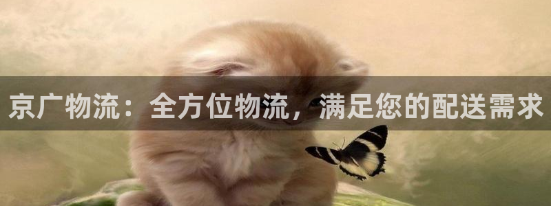 28圈加拿大app预测