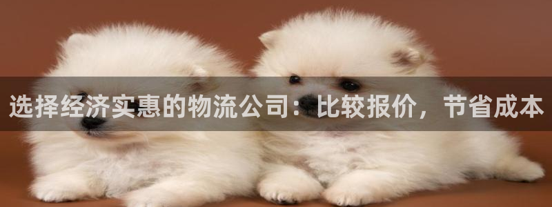 28圈注册网站谁有：选择经济实惠的物