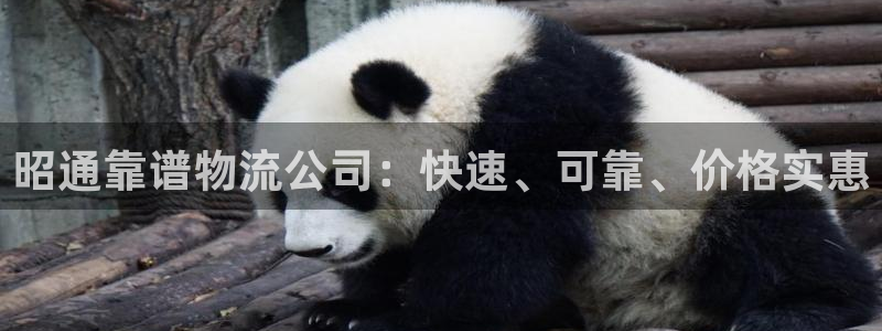 28圈如何看012路计划：昭通靠谱物