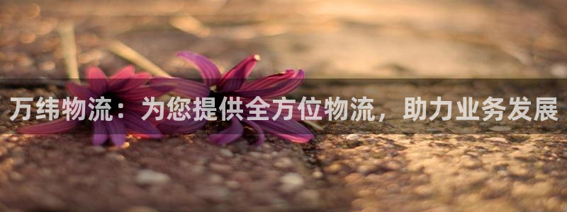 28圈推广链接是多少