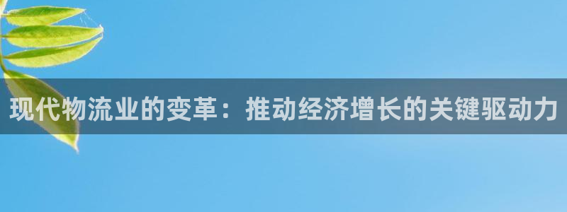 28圈充值金额随便：现代物流业的变革