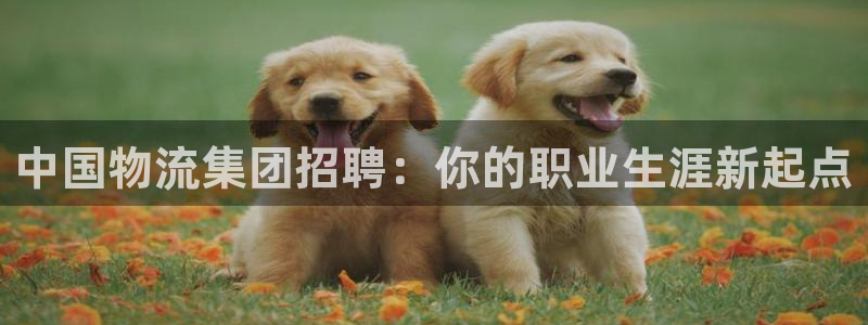 28圈网站怎么注册：中国物流集团招聘